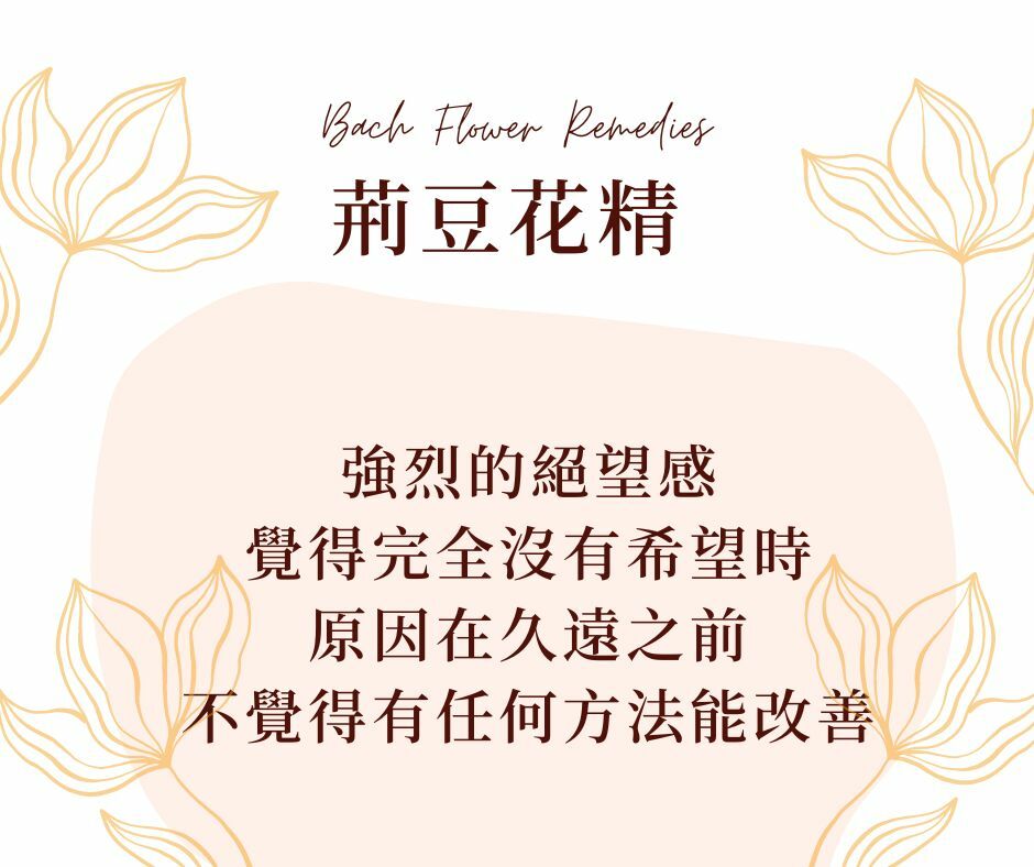 荊豆花精巴赫花精巴哈花精