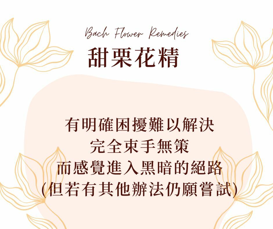 甜栗花精巴哈花精