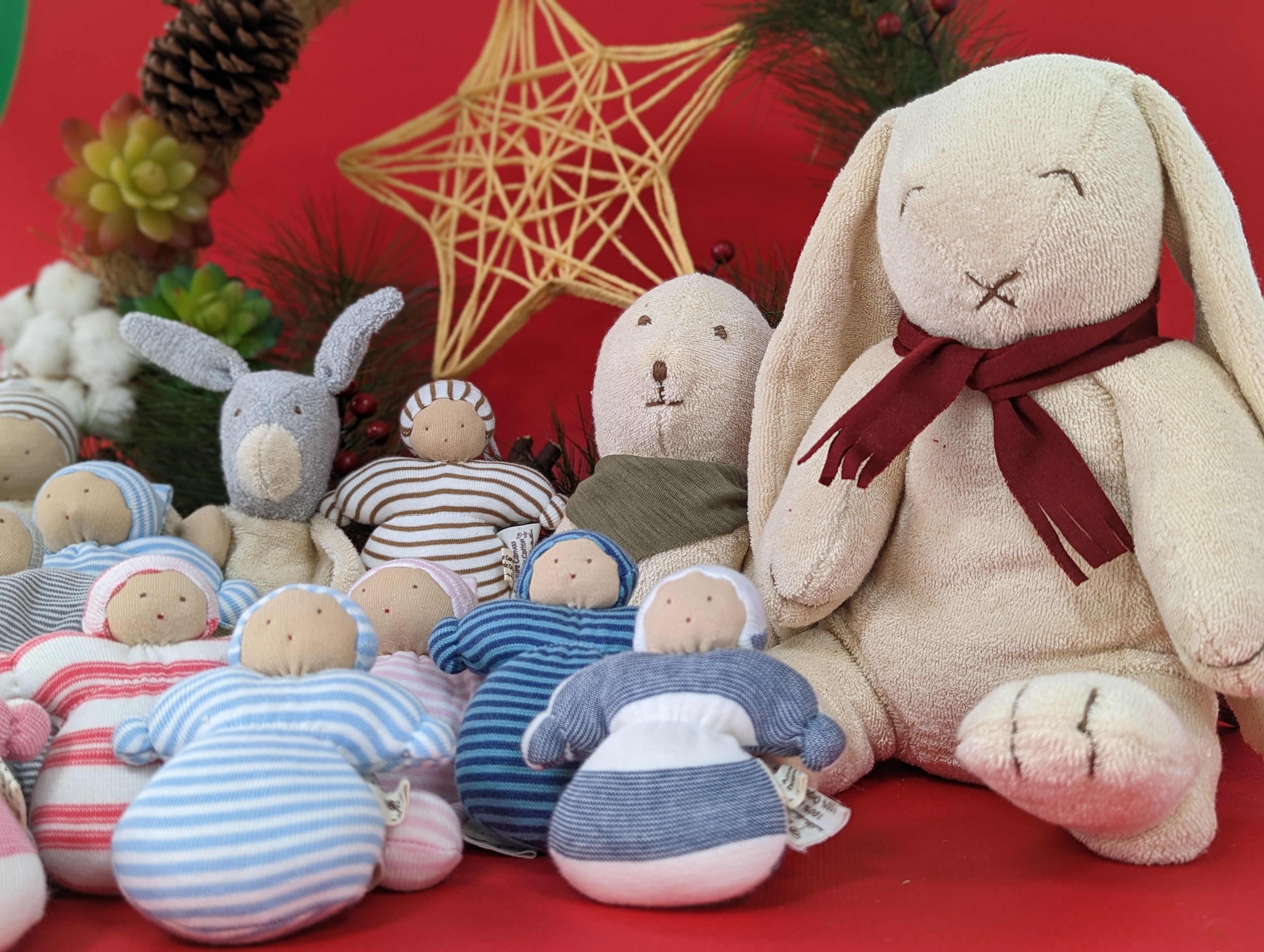 有機埃及棉娃娃聖誕背景