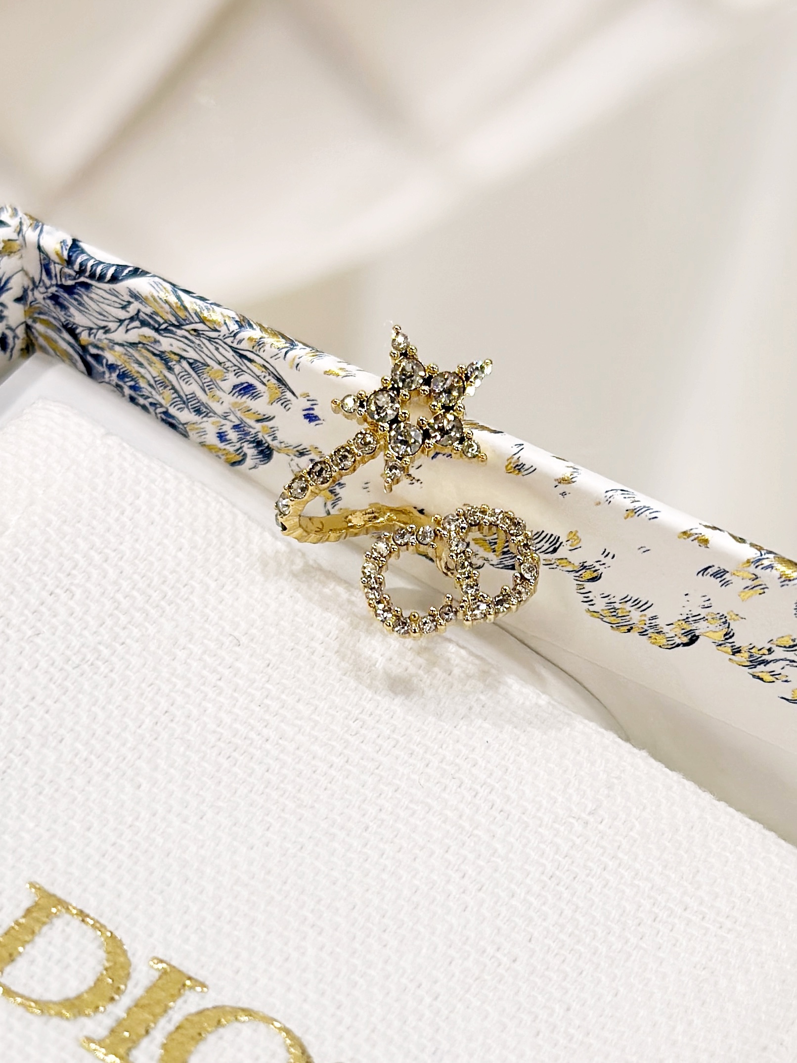 DIOR Clair D Lune Earrings E1099