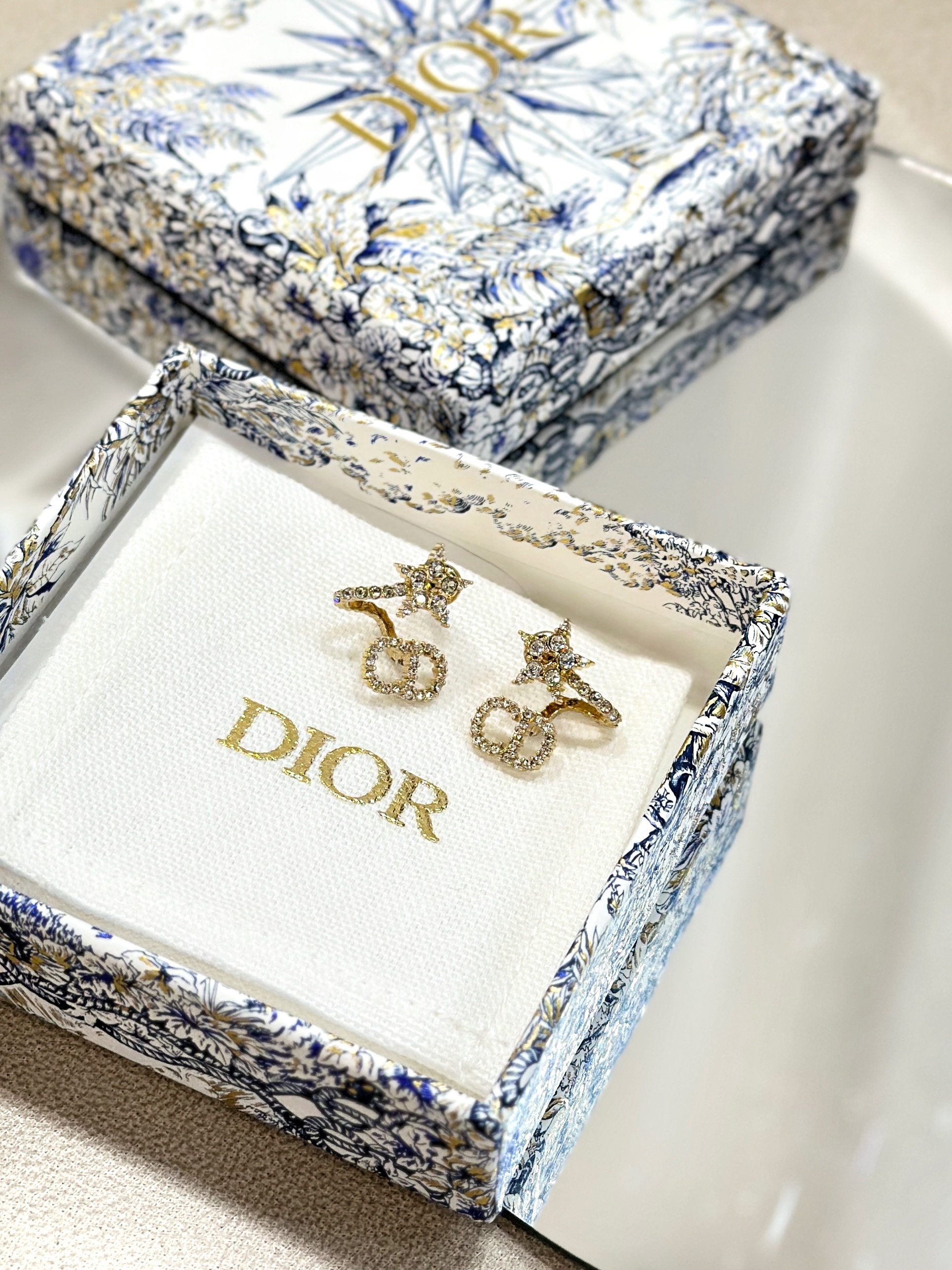 DIOR Clair D Lune Earrings E1099