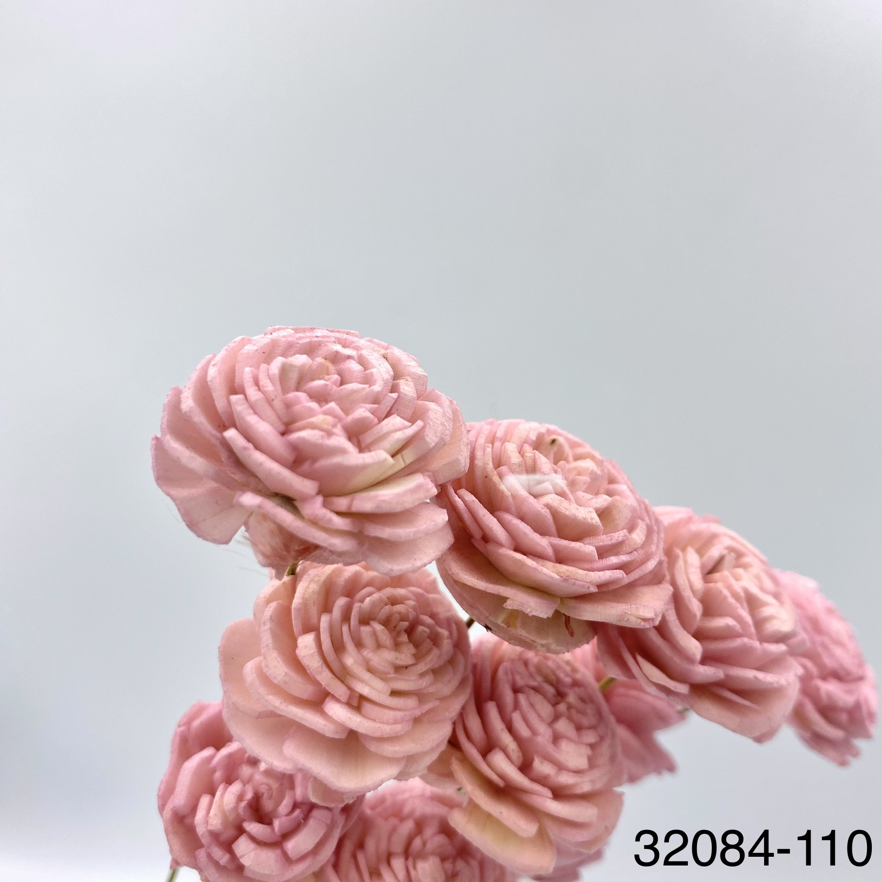 日本索拉玫瑰花(2cm) 32084-110