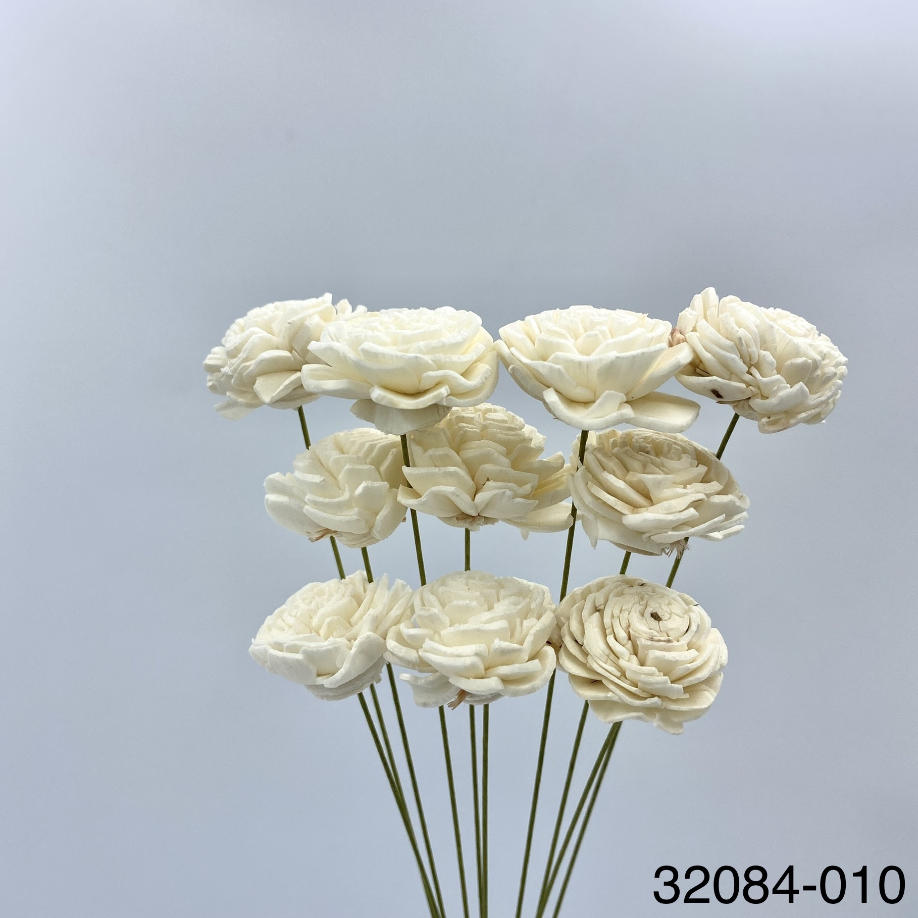 日本索拉玫瑰花(2cm) 32084-010