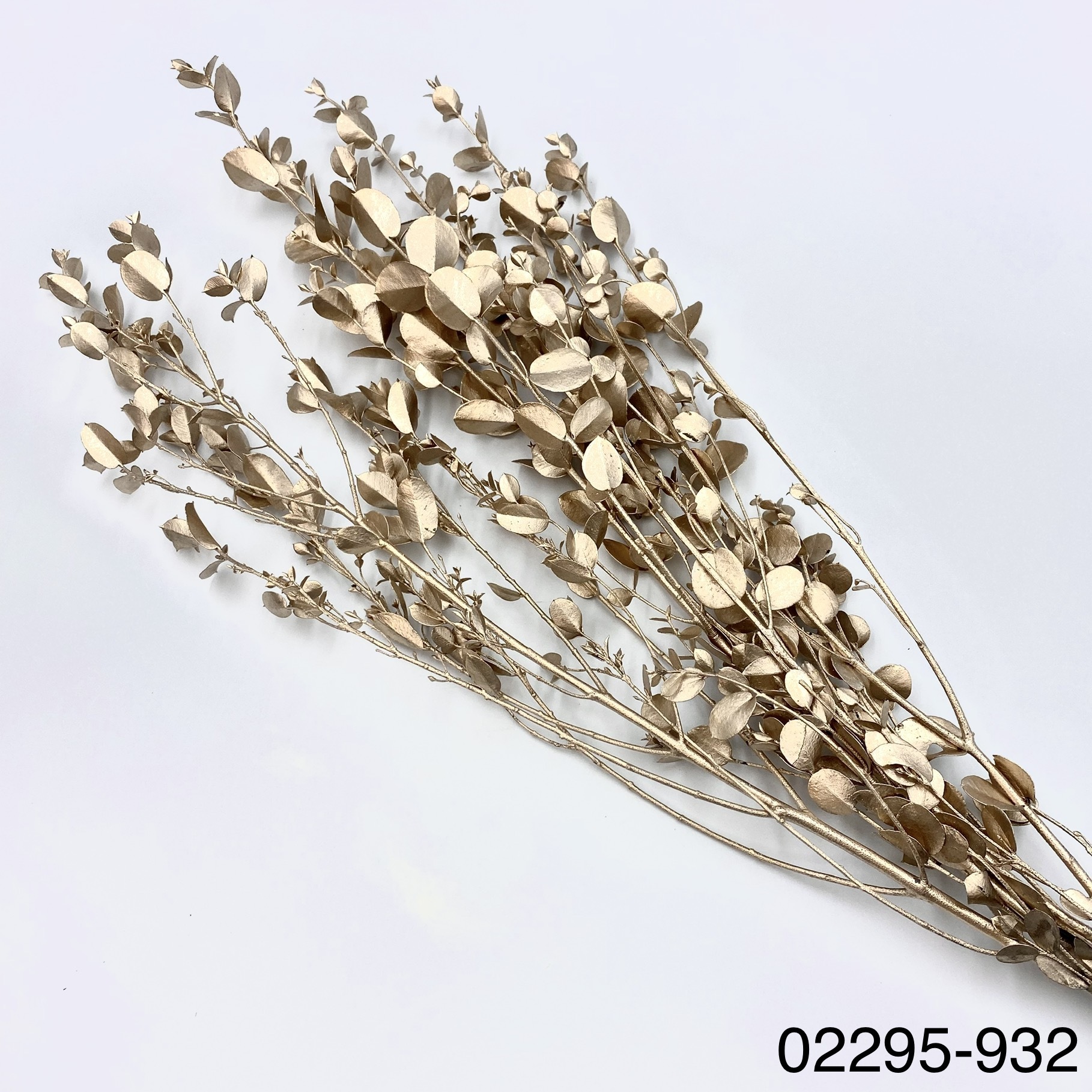 不凋小圓尤加葉 02295-932