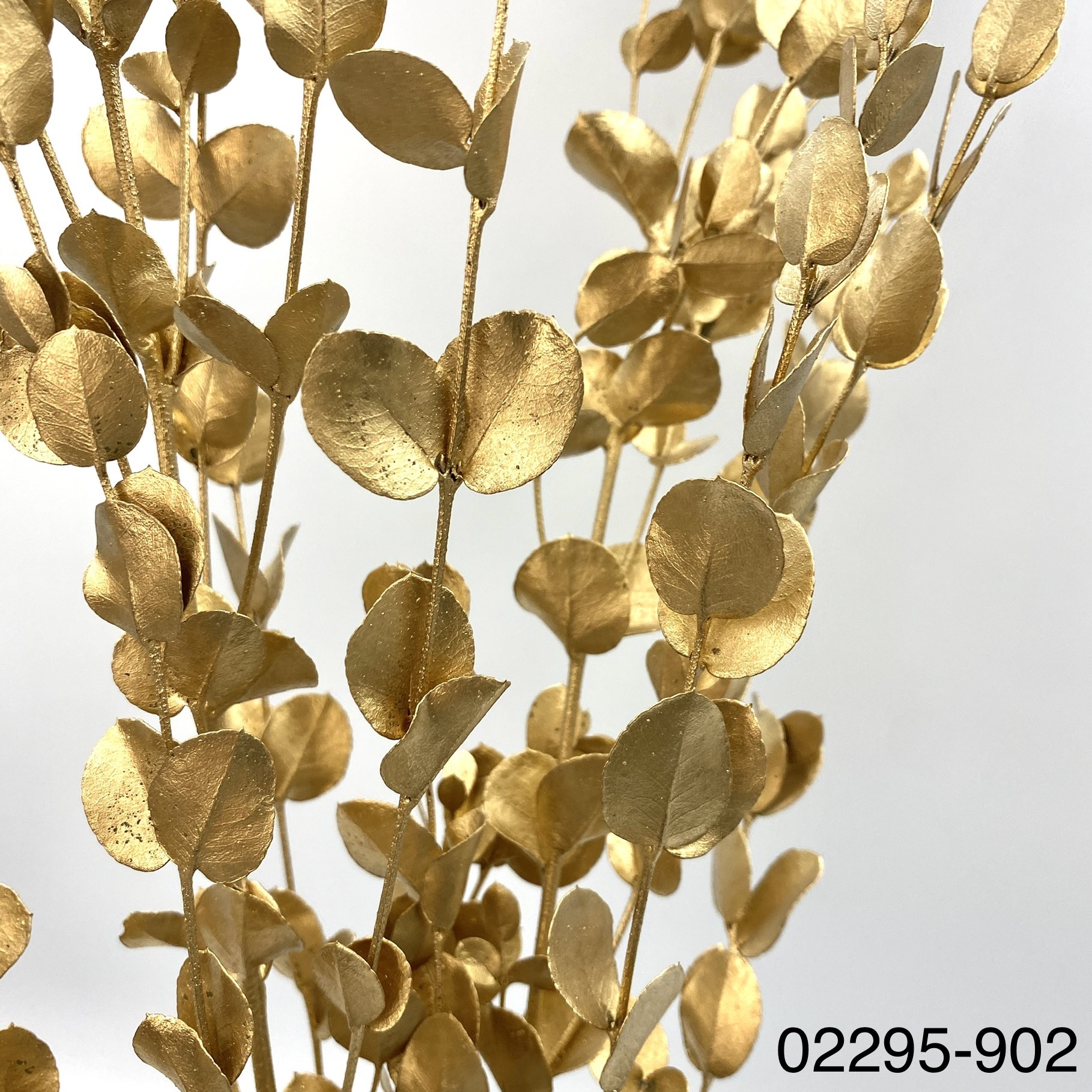 不凋小圓尤加葉 02295-902