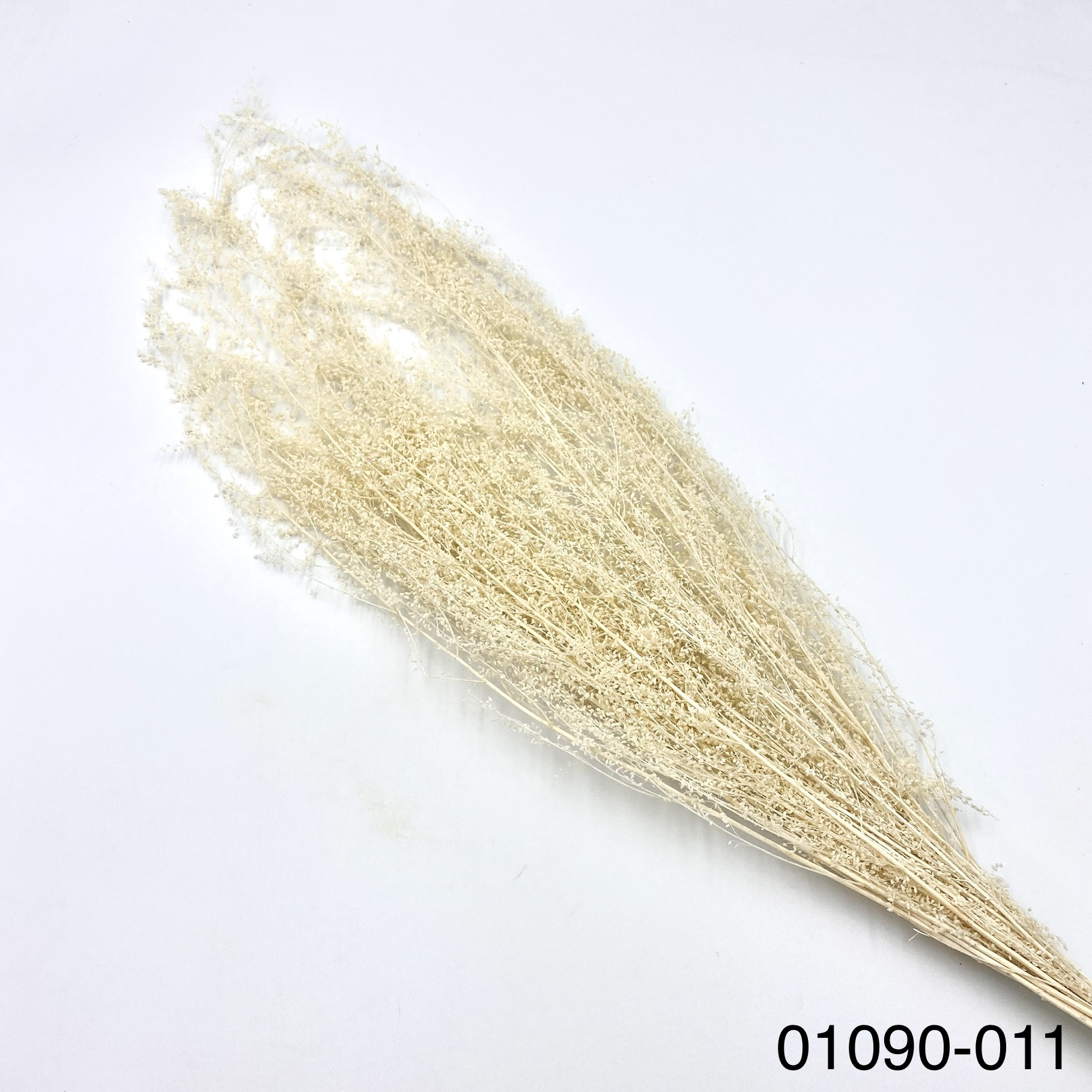 不凋青蒿草 01090-011