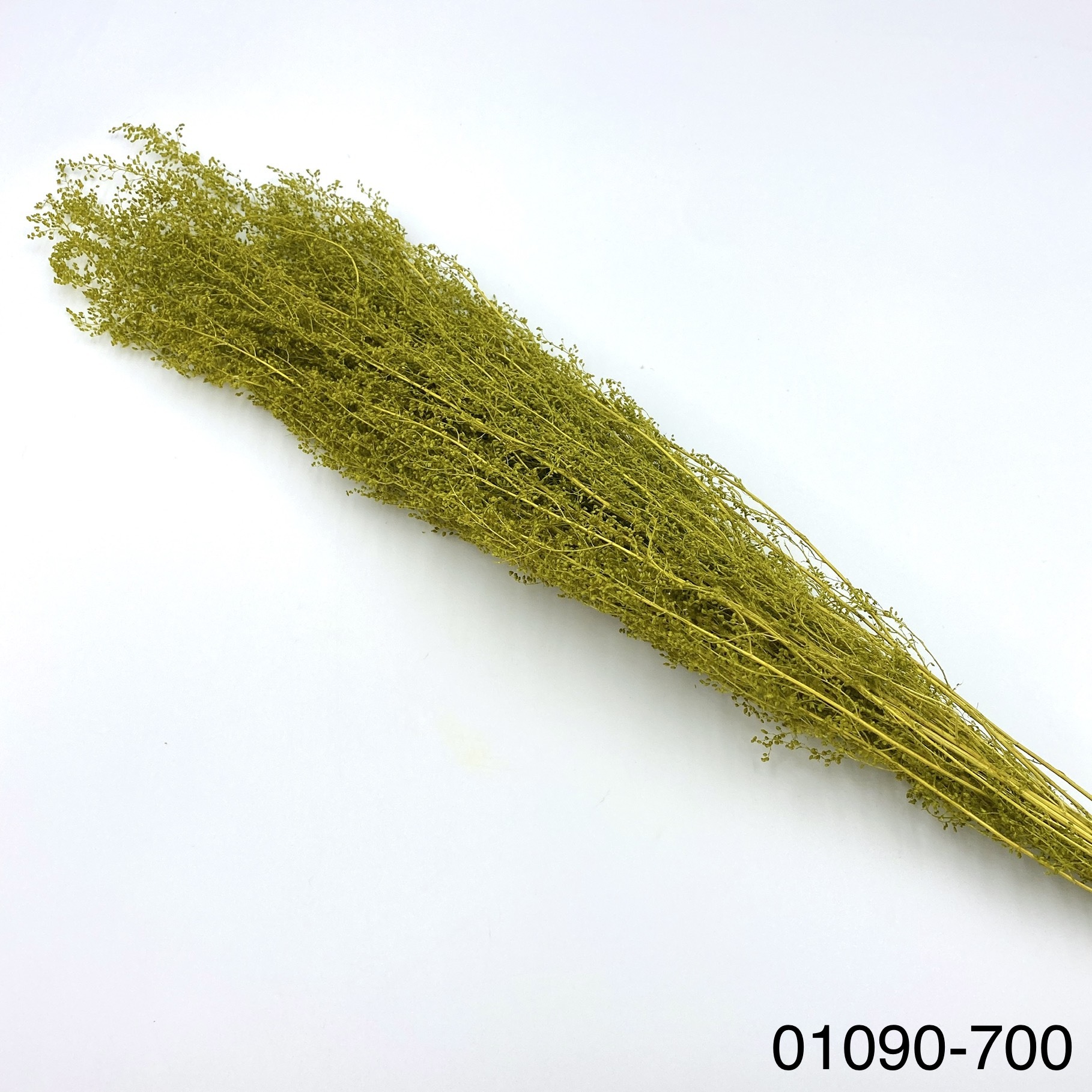 不凋青蒿草 01090-700