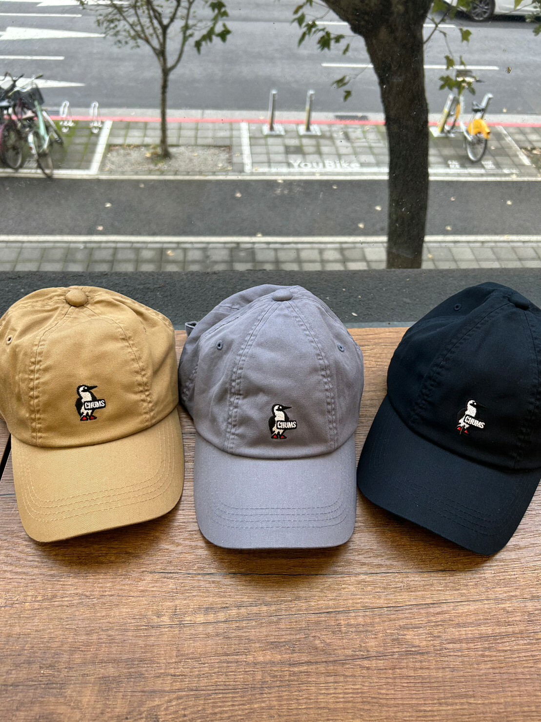 Chums 老帽 大嘴鳥 山系 黑色