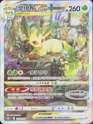 S12aF 210/172 葉伊布VSTAR