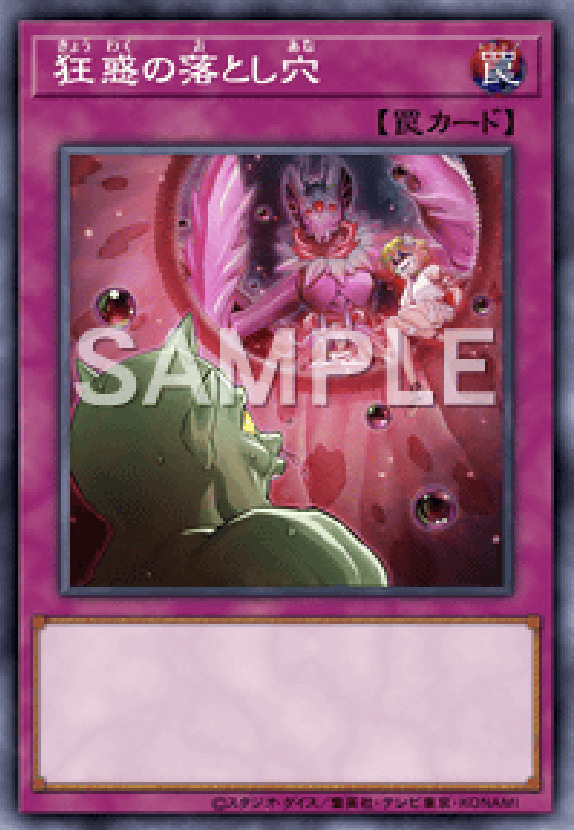 SD45-JP027 狂惑の落とし穴