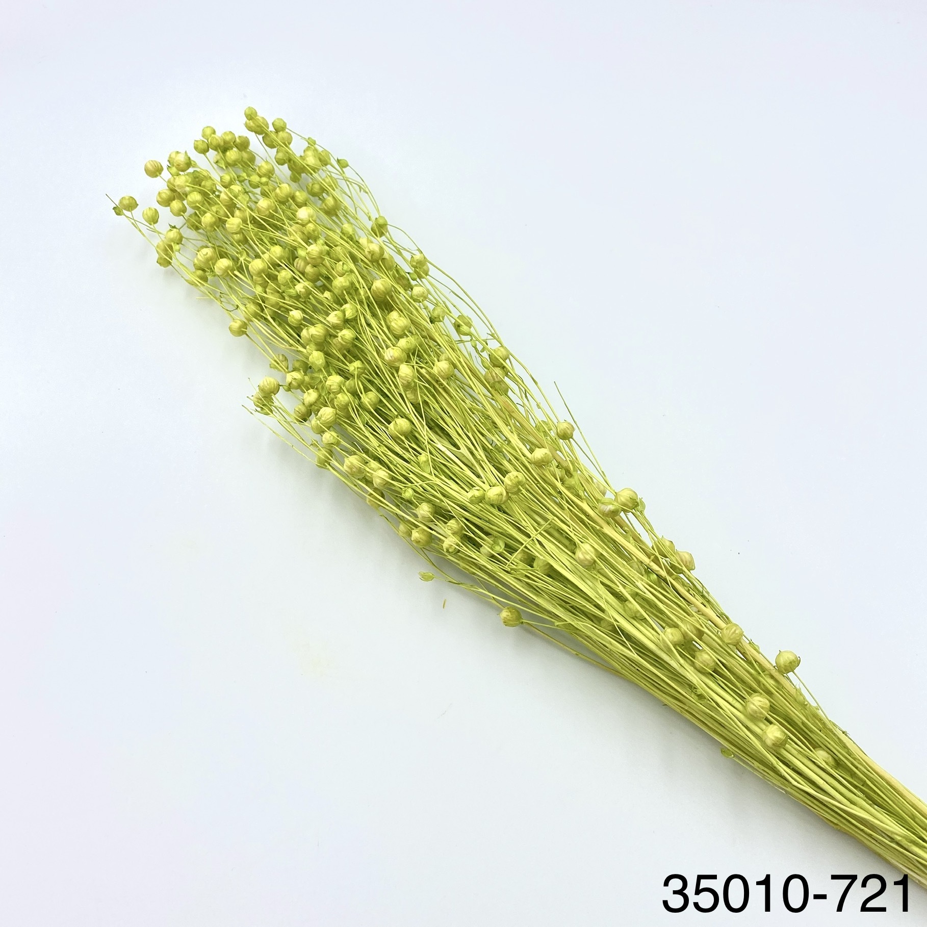 日本不凋臨花 35010-721