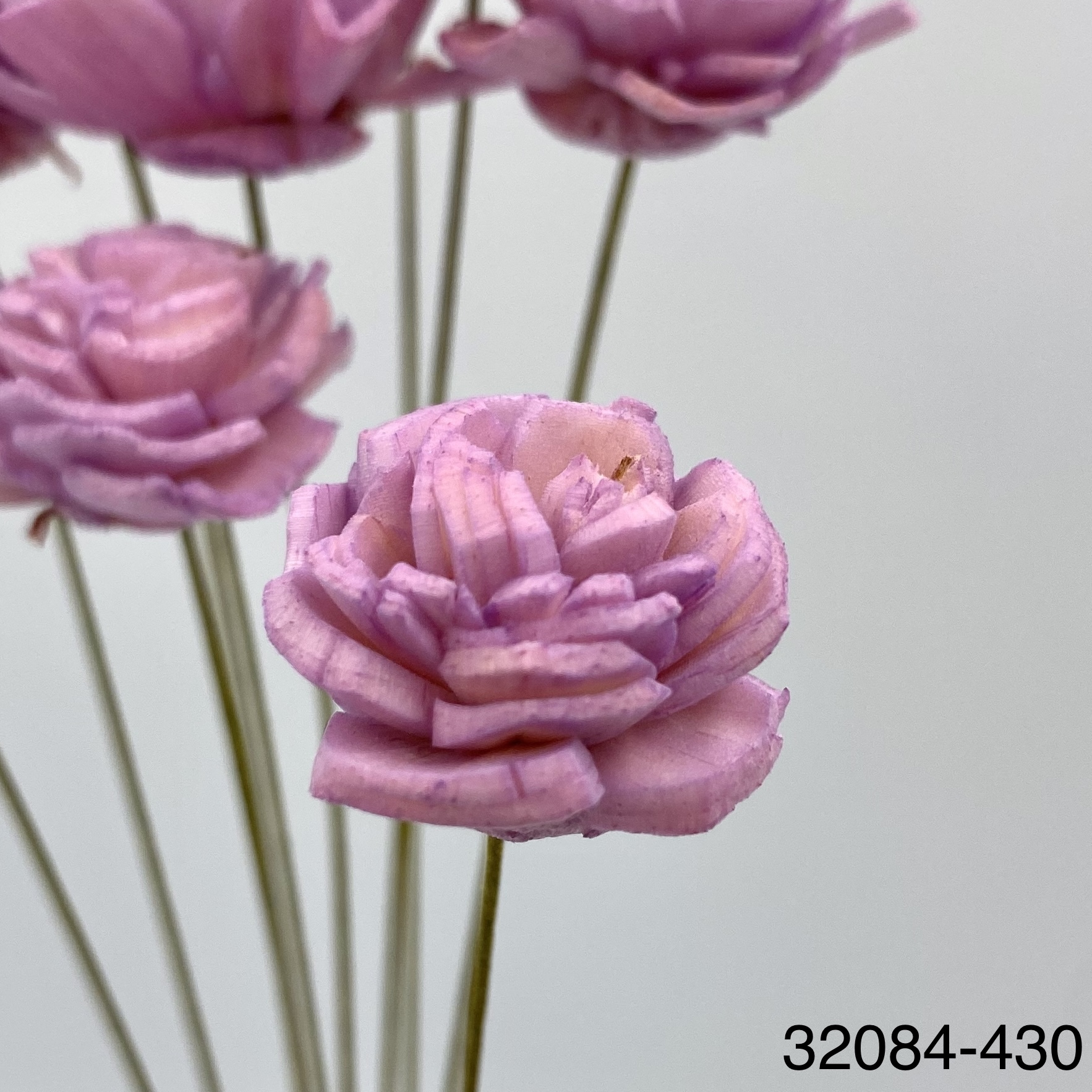 日本迷尼索拉花 2cm 32084-430