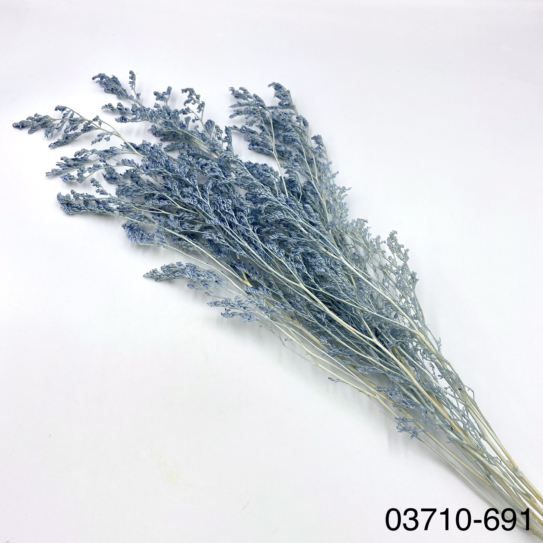 日本不凋卡斯比亞 03710-691