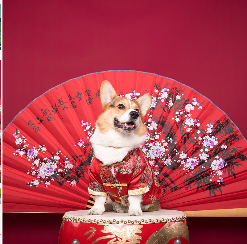 宠物衣服 柯基法斗专用 唐装（女生/男生）尺寸看最后图