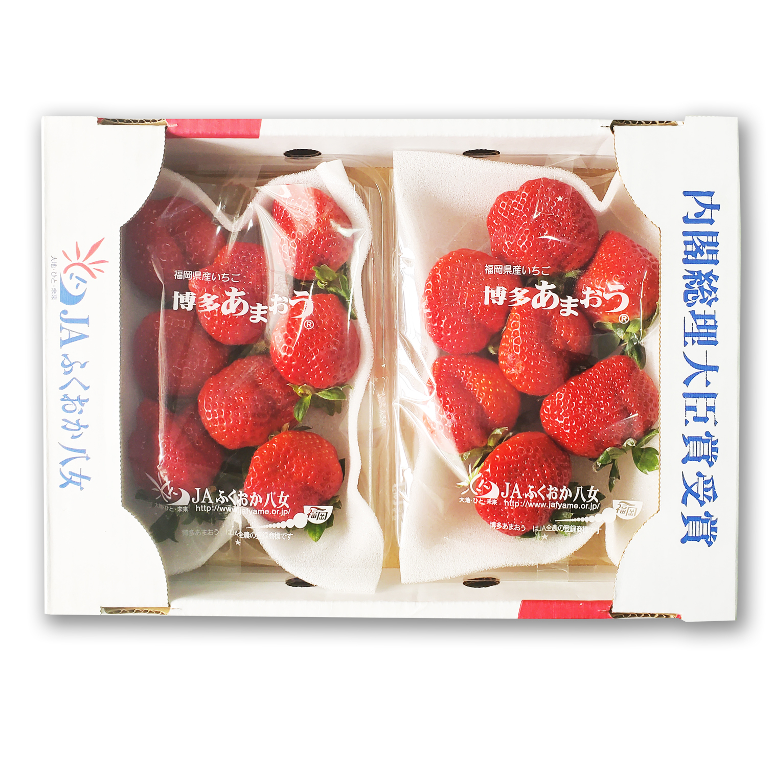 日本福岡縣博多甜王士多啤梨 [1盒|2包]