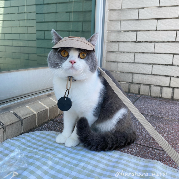 Chipolo 防丟小幫手