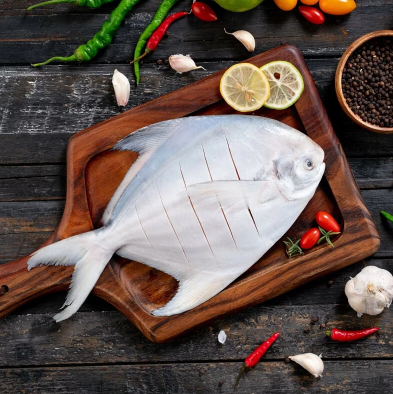 【凍洋Oceanice】年節限定-頂級鮮凍藍帶大白鯧