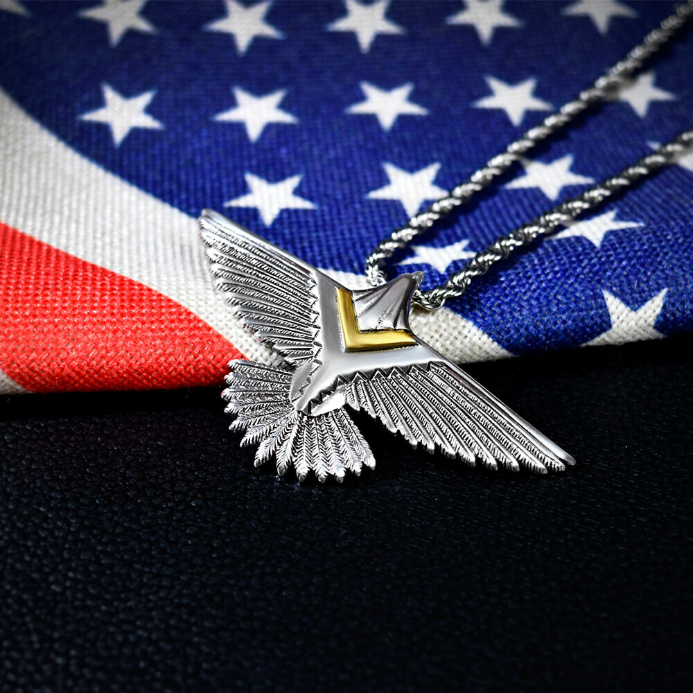 捍衛戰鷹系列 個性項鍊/個性飾品/項鍊－快速出貨