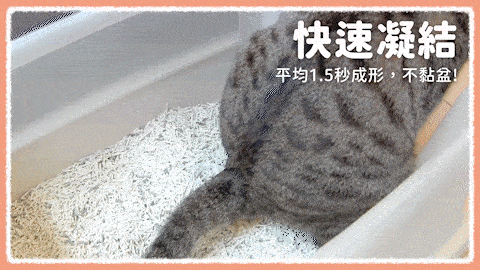 好鏟又好沖馬桶，超好清理