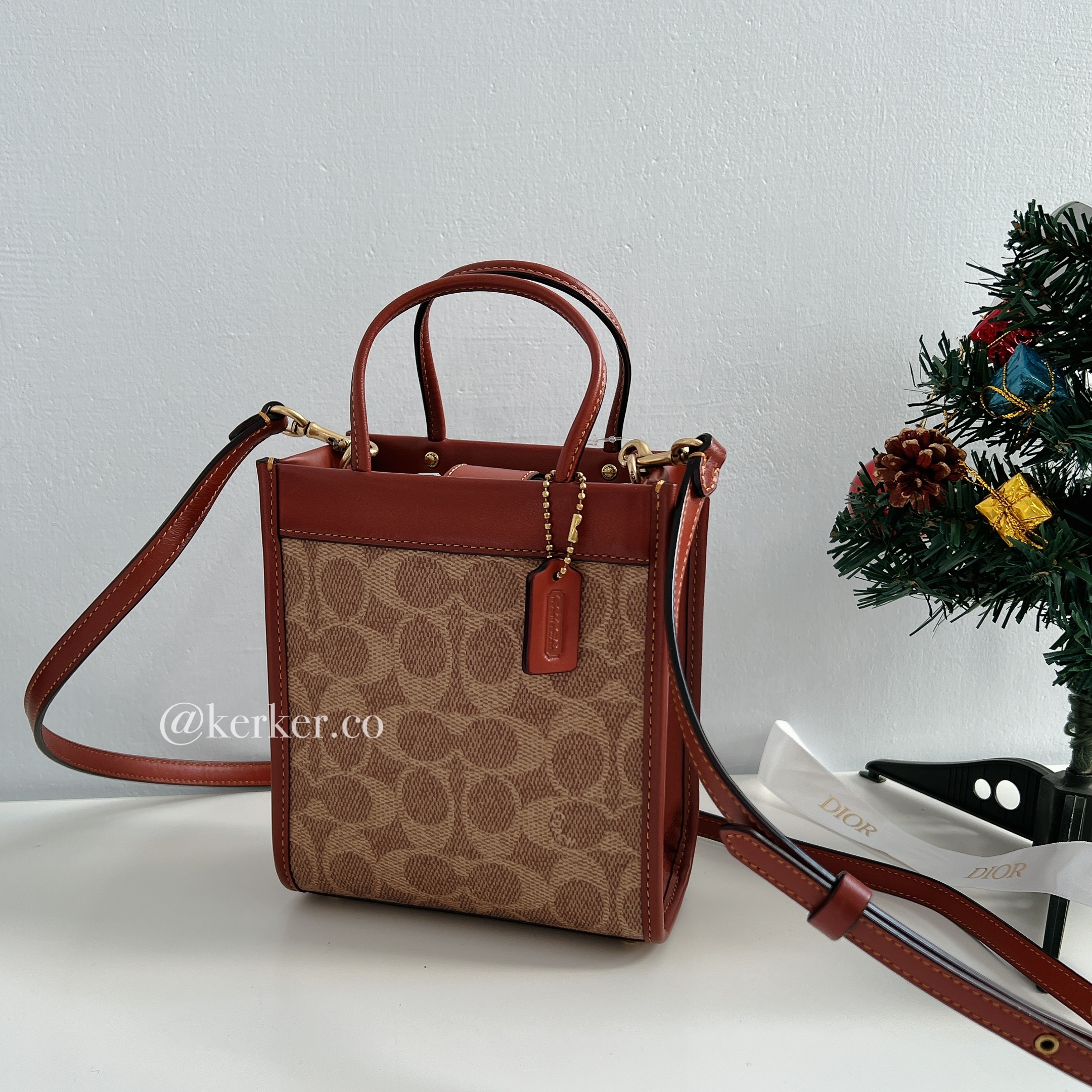 Coach cashin mini tote