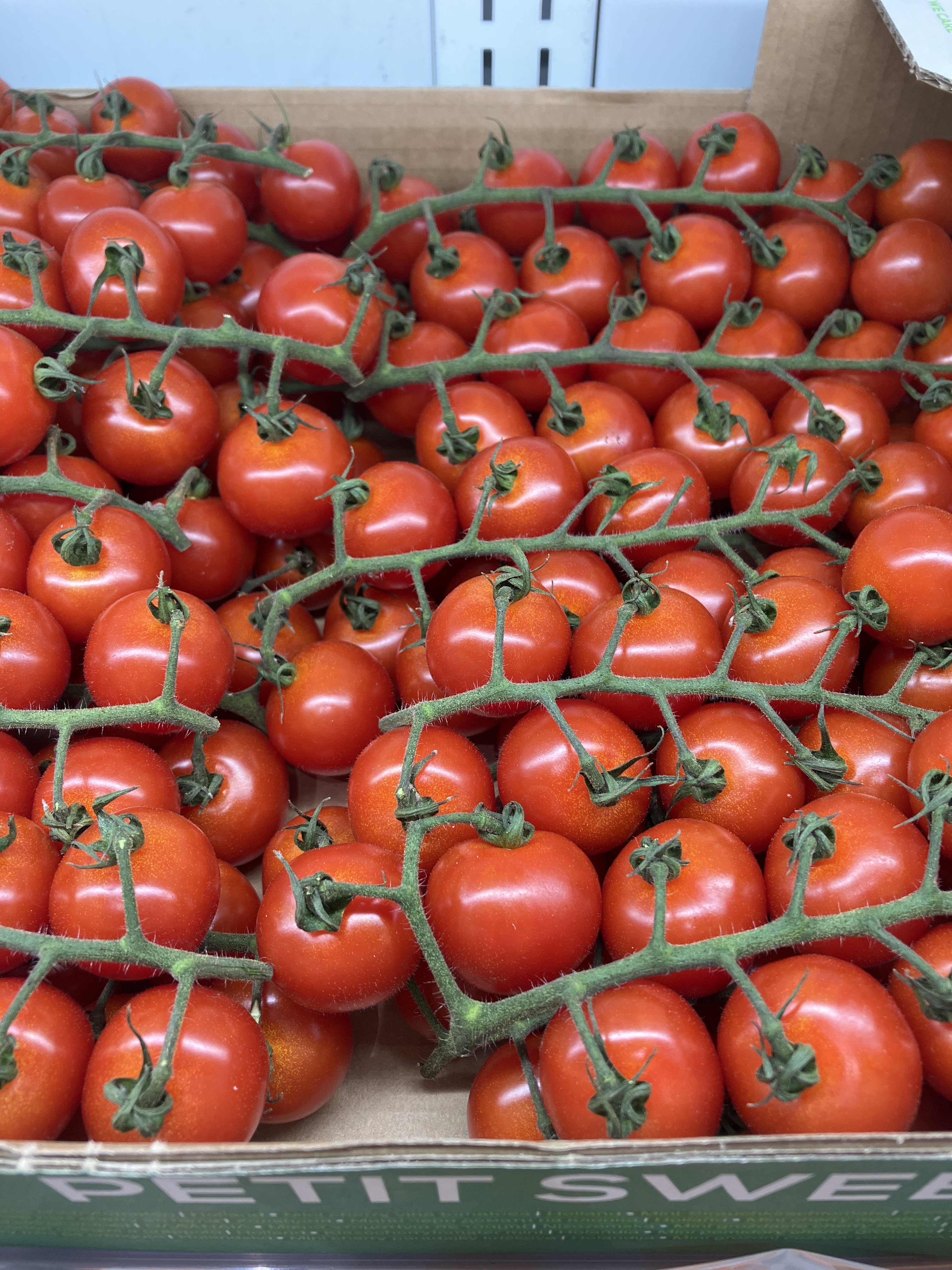 車厘茄/串茄 $55/磅