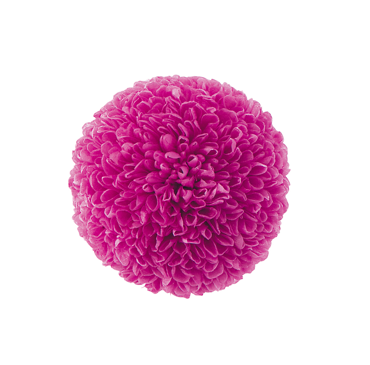 不凋乒乓菊(9朵) 02646-261