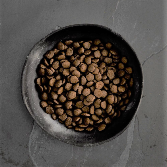 Canagan Grain Free Dry Dog Food Scottish Salmon 2kg/6kg/12kg