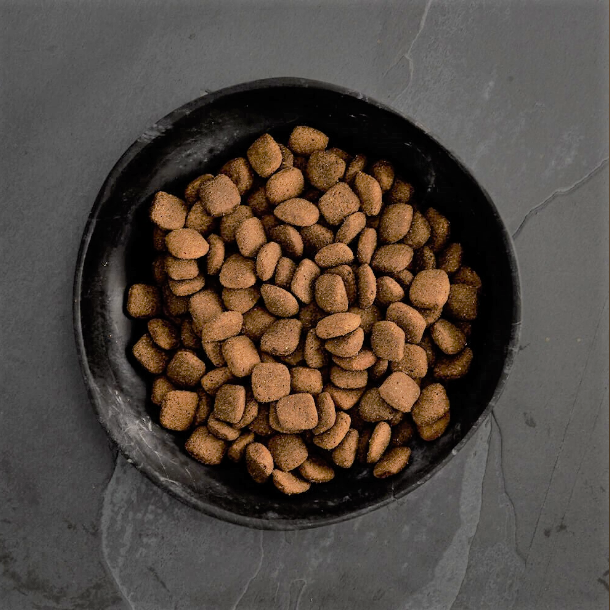 Canagan原之選 無穀物全犬糧．放牧羊(橙色)配方 2kg EXP:08/2025