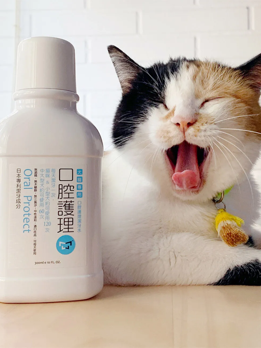 【水魔素】貓狗口腔護理潔牙水｜小麥草(貓草)｜適合日常保健