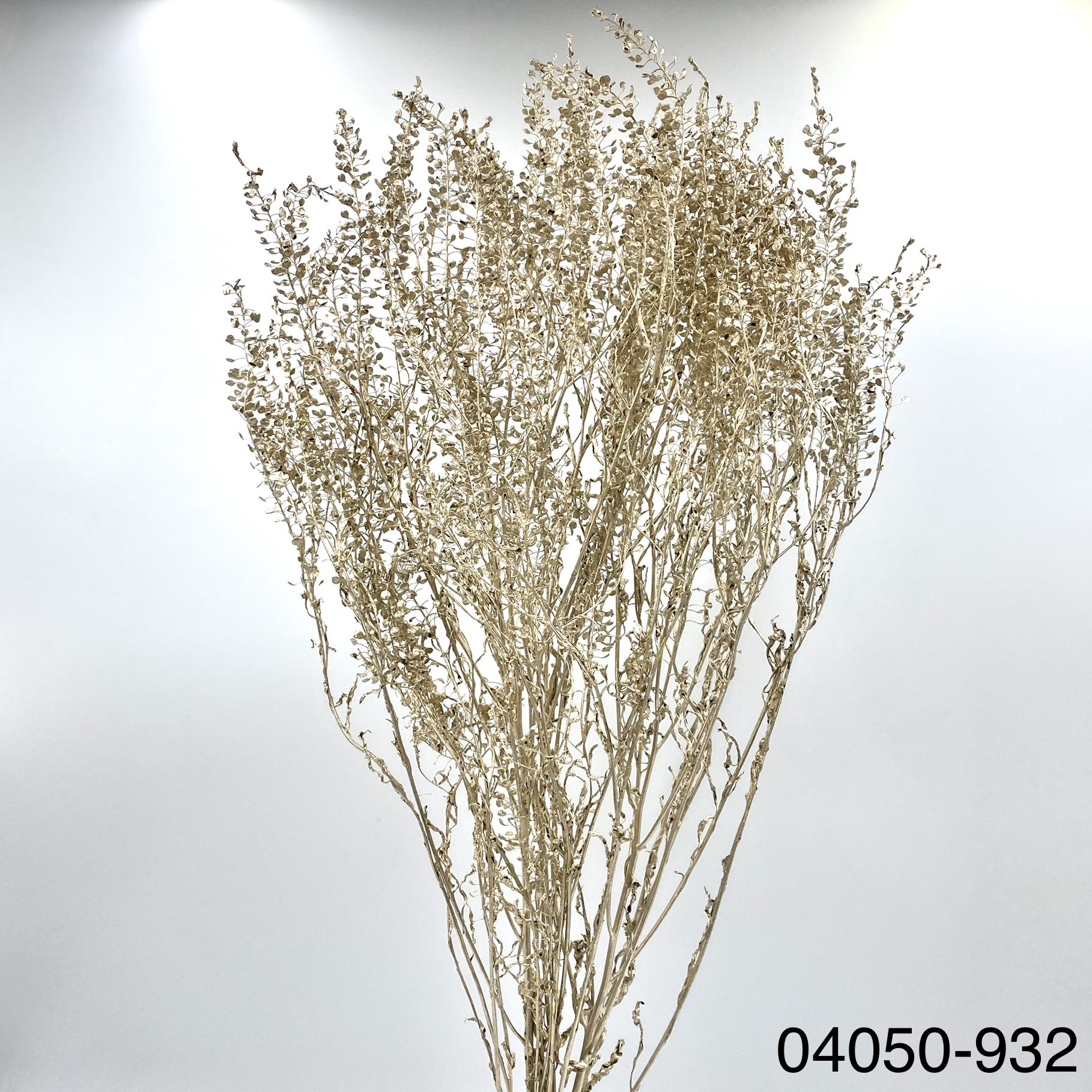 日本不凋翠扇 04050-932