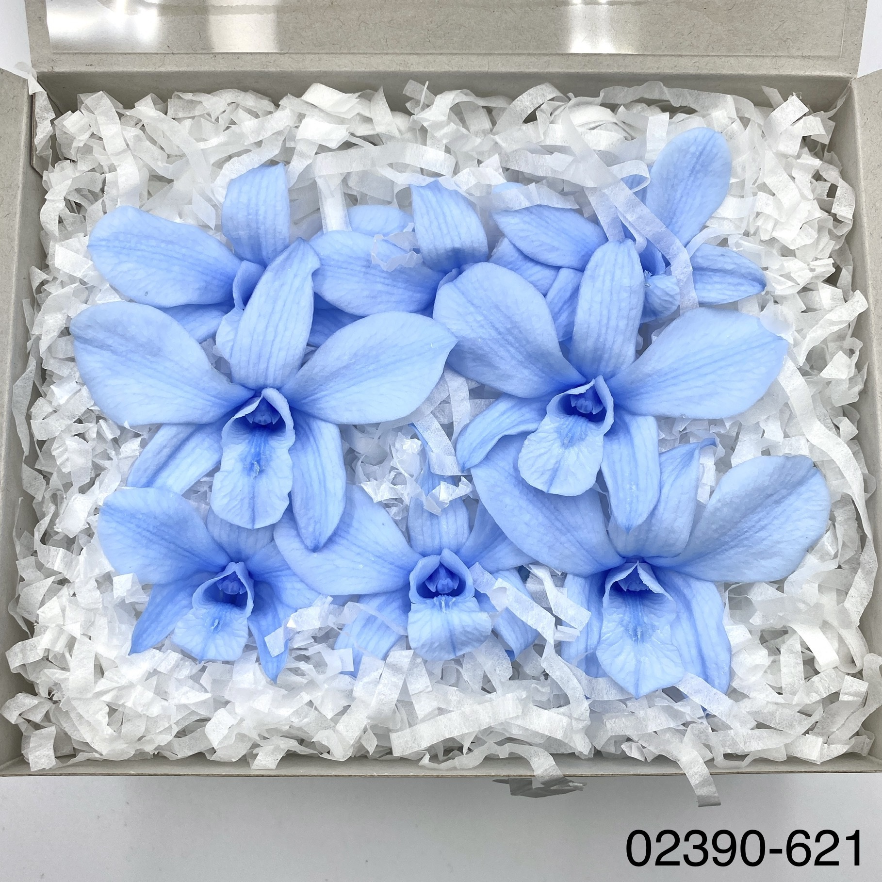 不凋石斛蘭(8朵) 02390-621