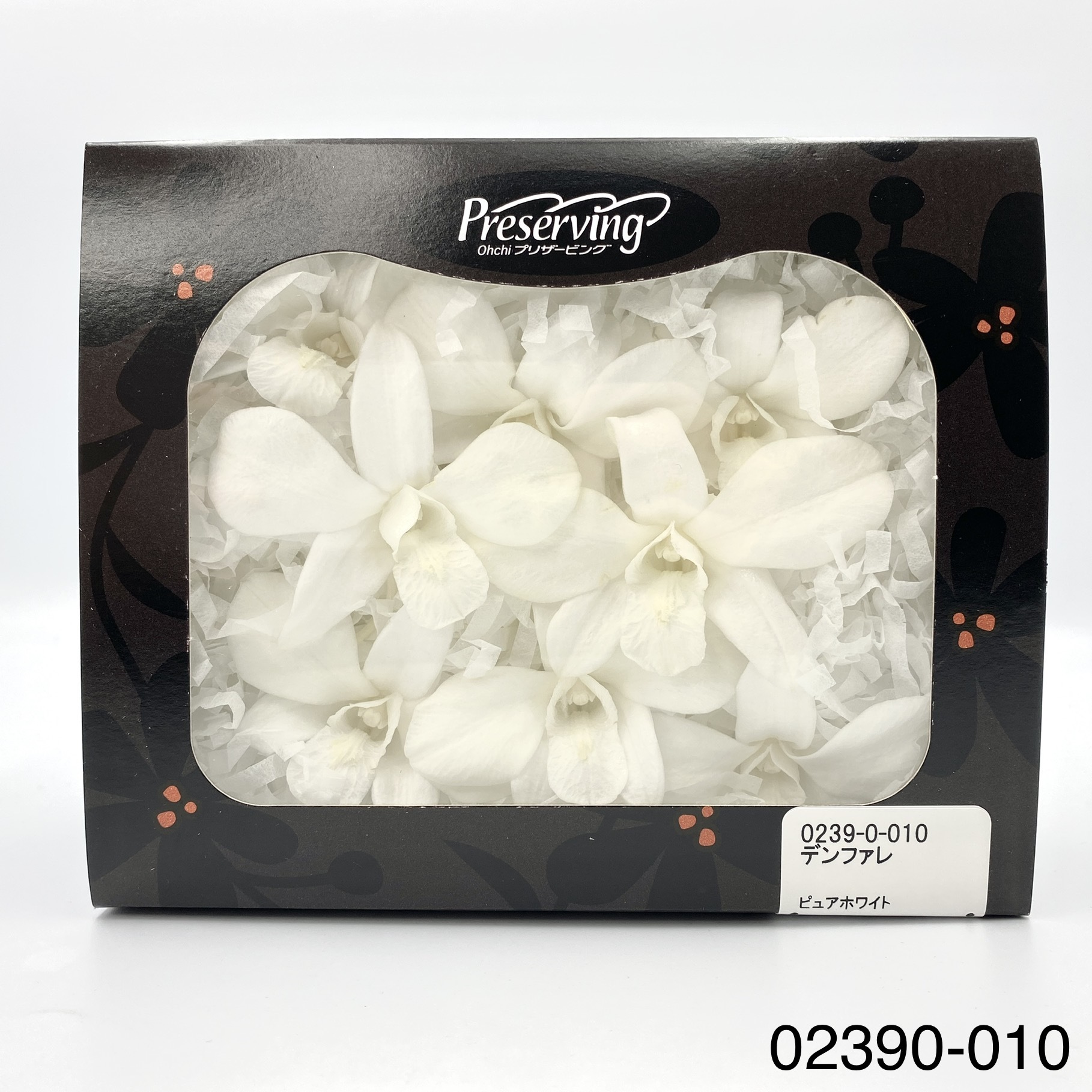 不凋石斛蘭(8朵) 02390-010