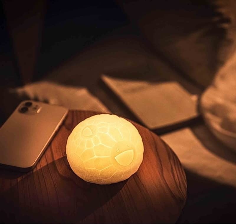 村上隆花花 LED Room Light