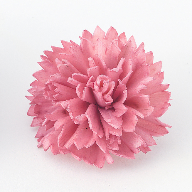 索拉康乃馨花頭 32761-210