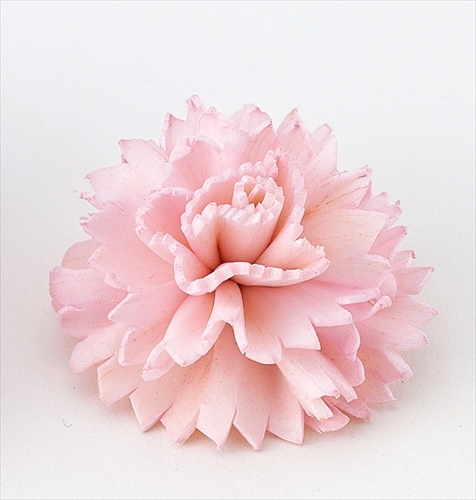 索拉康乃馨花頭 32761-100