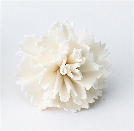 索拉康乃馨花頭 32761-010