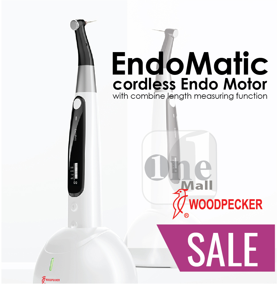EndoMatic Cordless Endo Motor