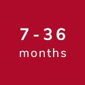 7-36months 7-36months