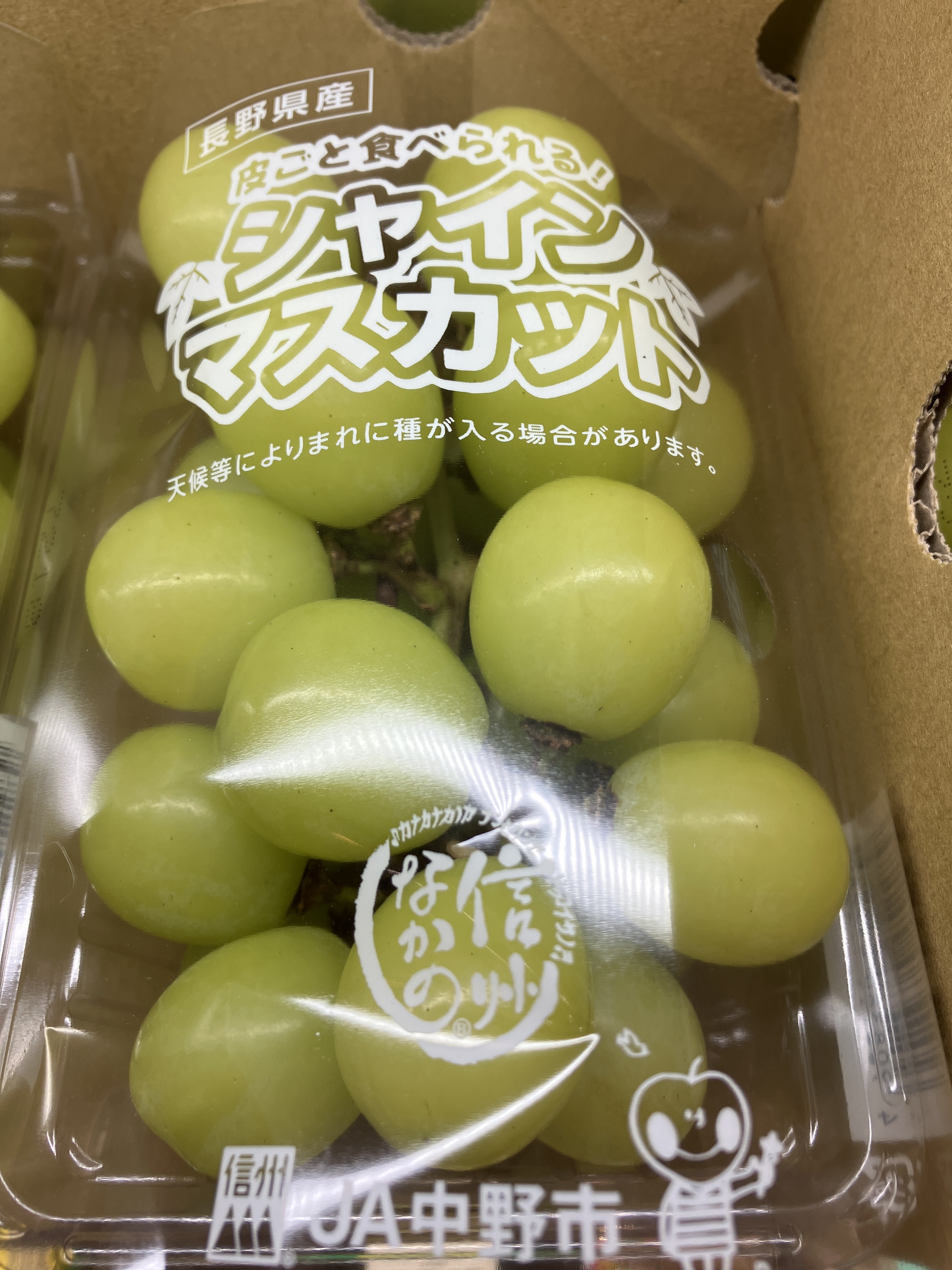 日本長野縣 陽光香印提子 2L 秀 (包)