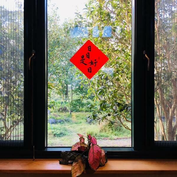 矽膠無痕窗貼-日日是好日 198斗方