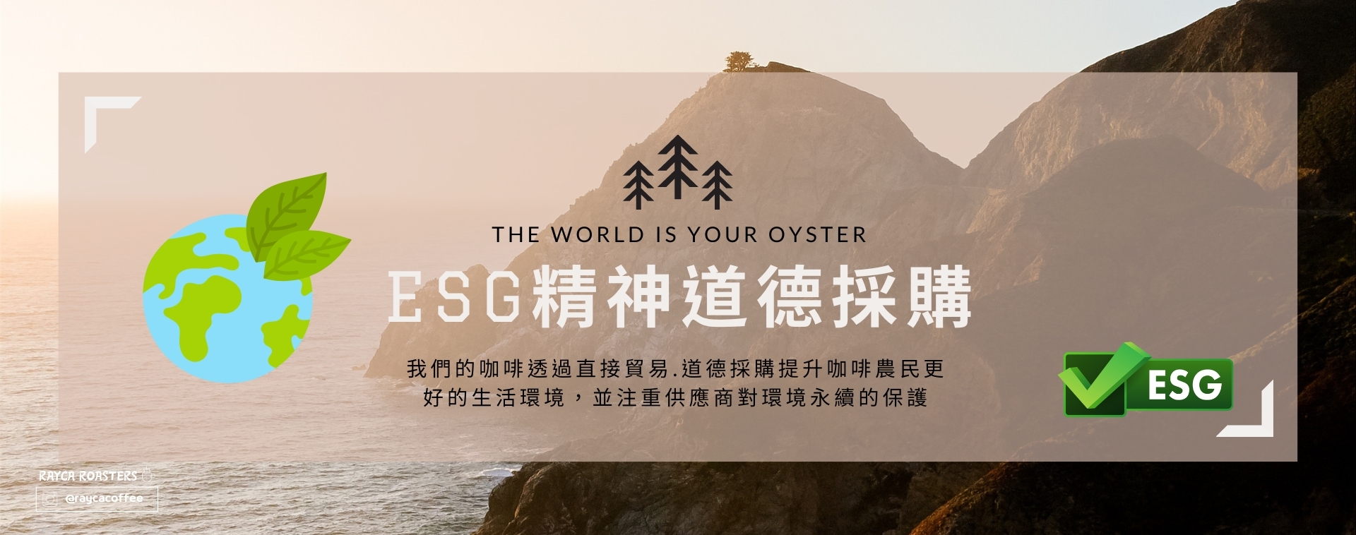 莊園濾泡式咖啡