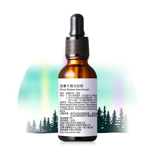 【BIOCHEM 倍優】週年慶限定 極效發光 加拿大極光松樹 60mlⒽ