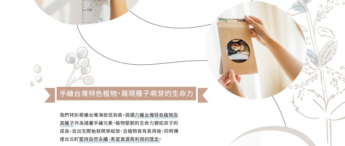 手繪台灣特色植物，展現種子萌芽的生命力