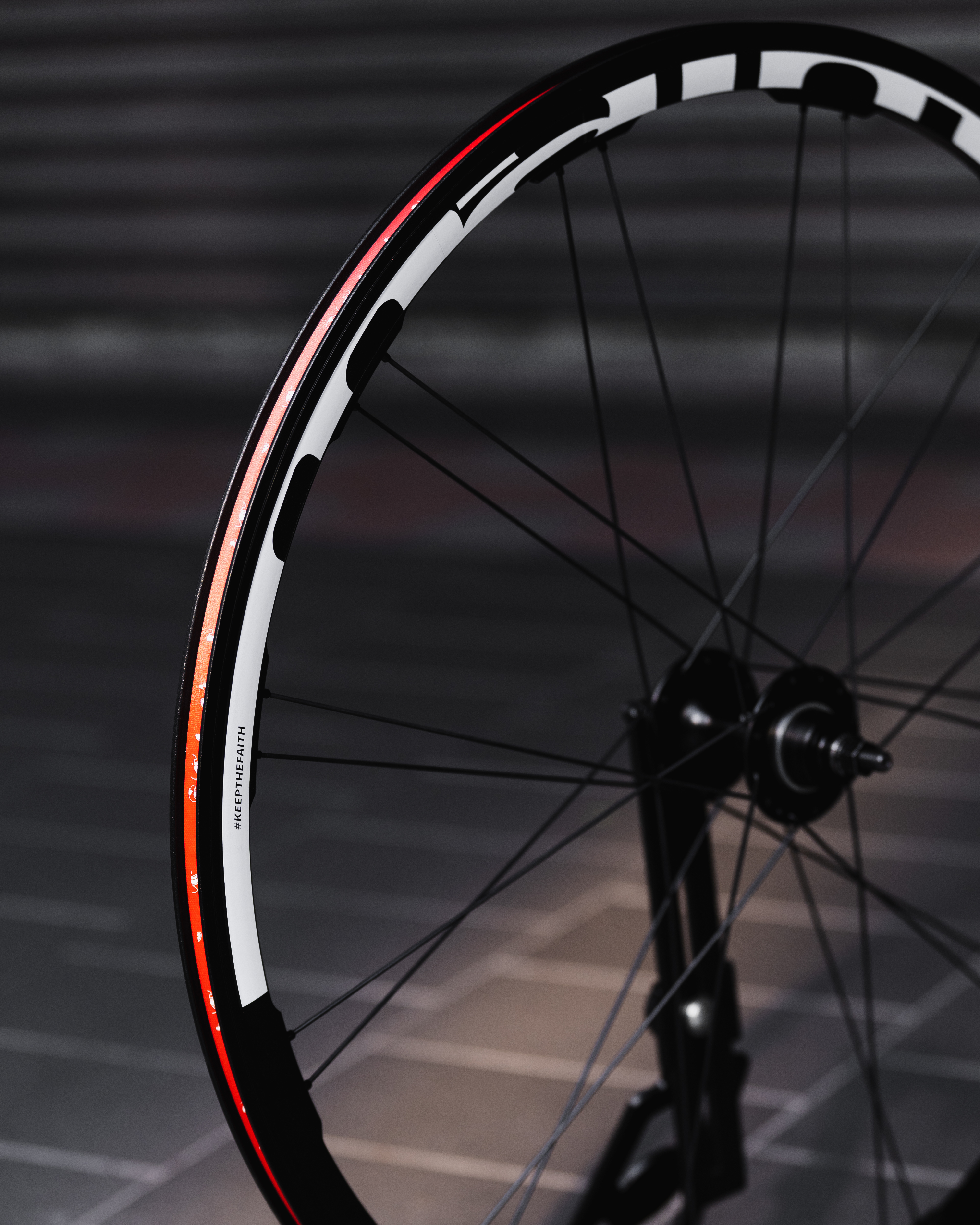 Amaint RD30 ZERO DISC 輪組