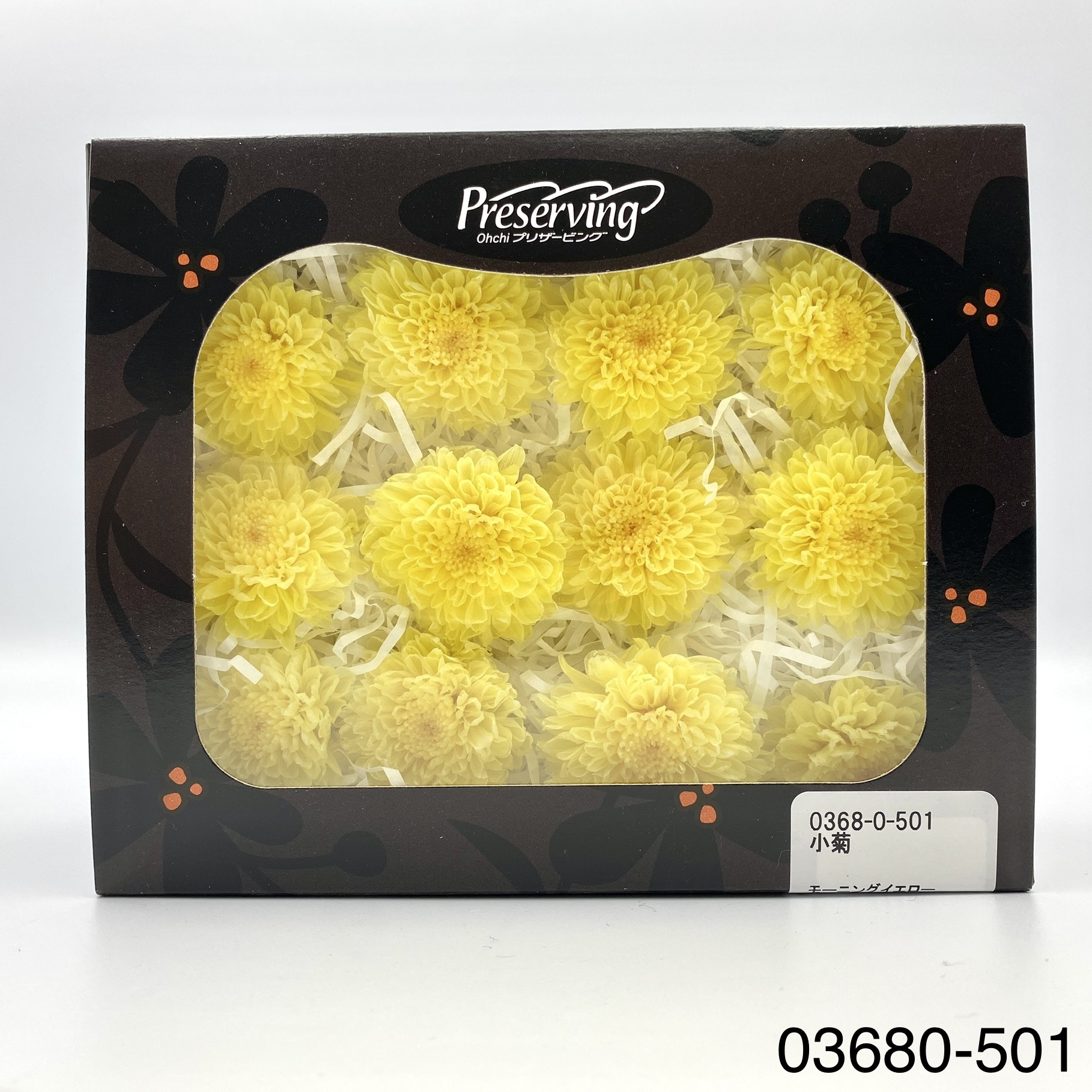 日本不凋小菊(12朵/盒) 03680-501