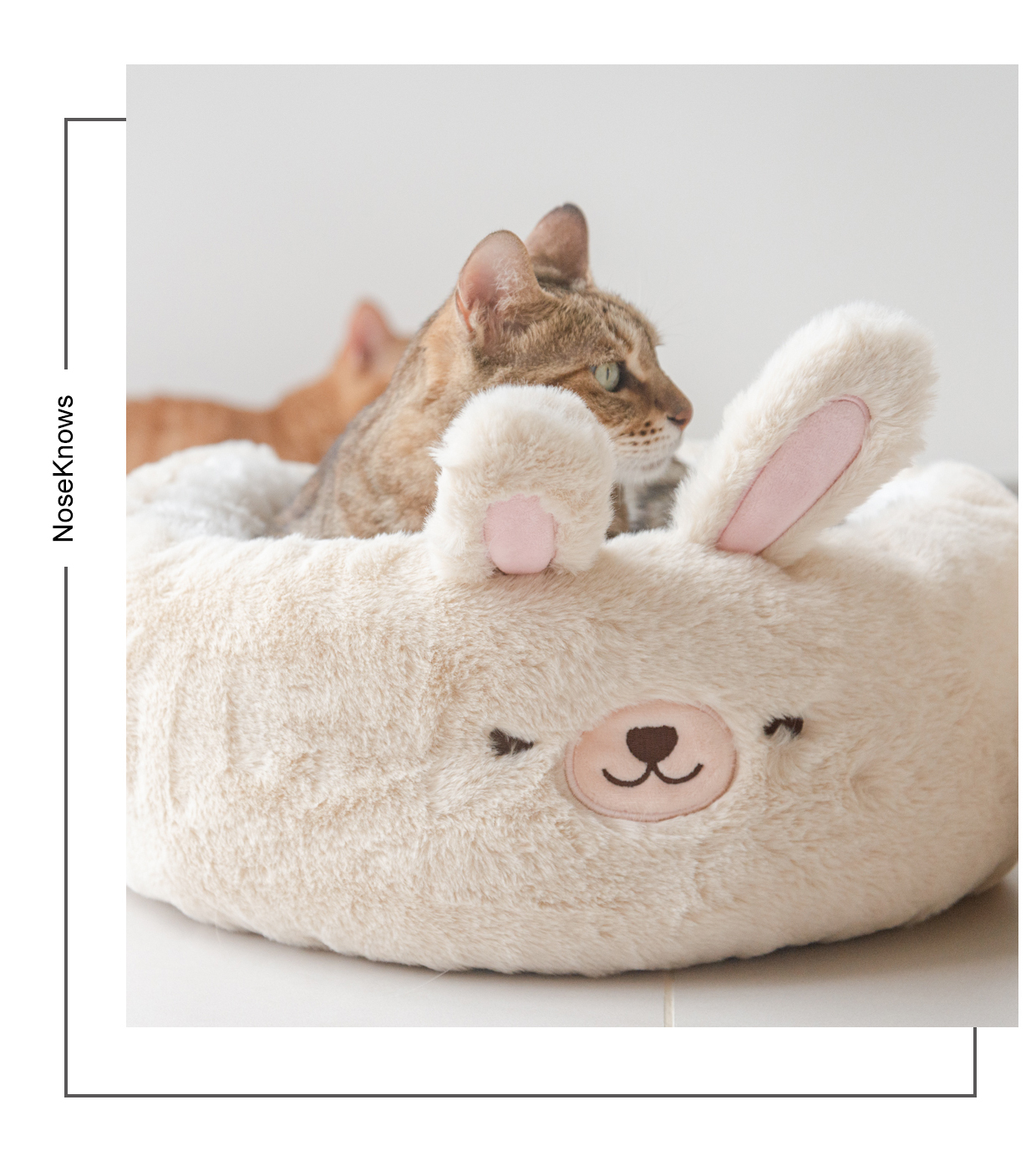 Fukufuku Pet 兔年深度睡眠窩