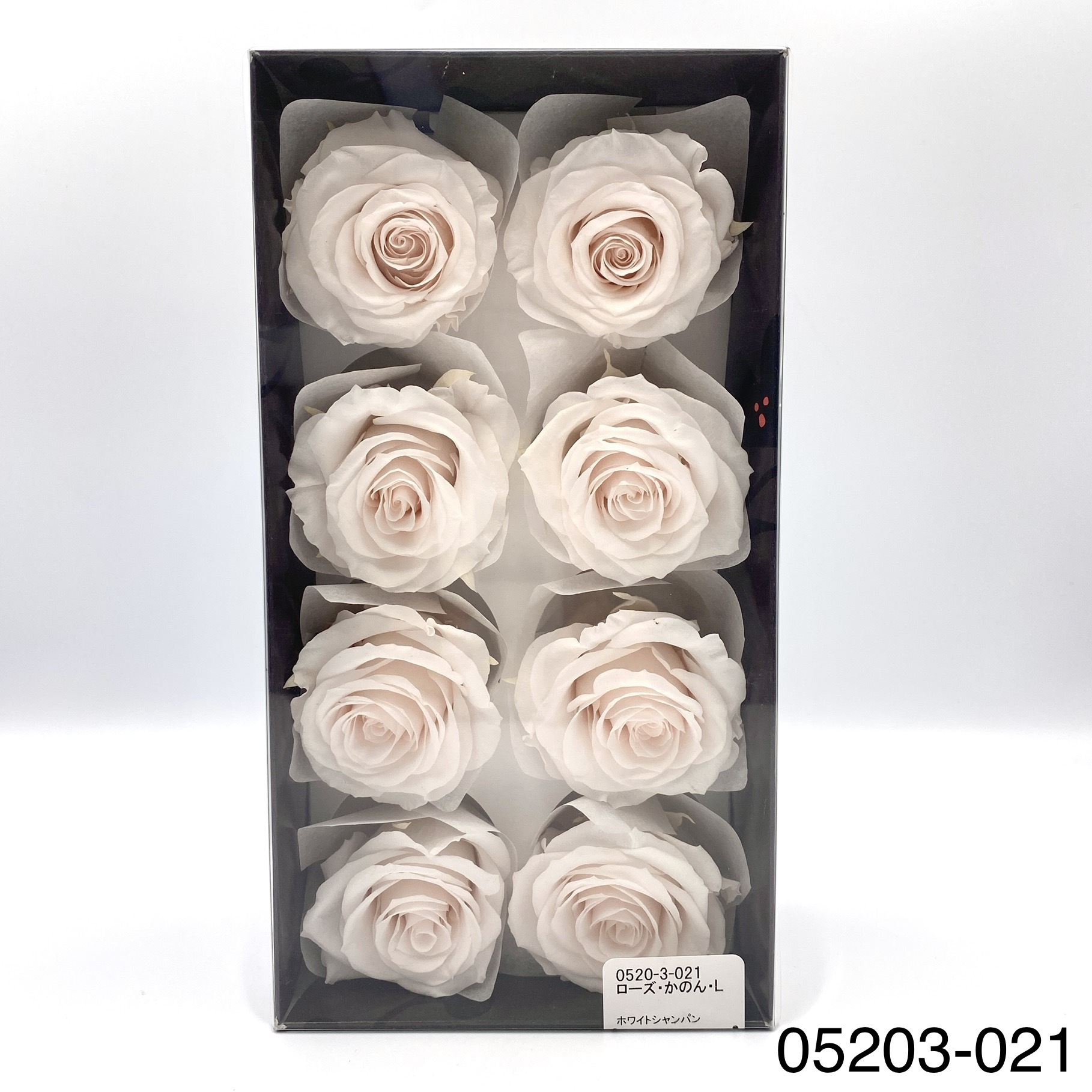 日本不凋大輪玫瑰(L-8朵) 05203-021