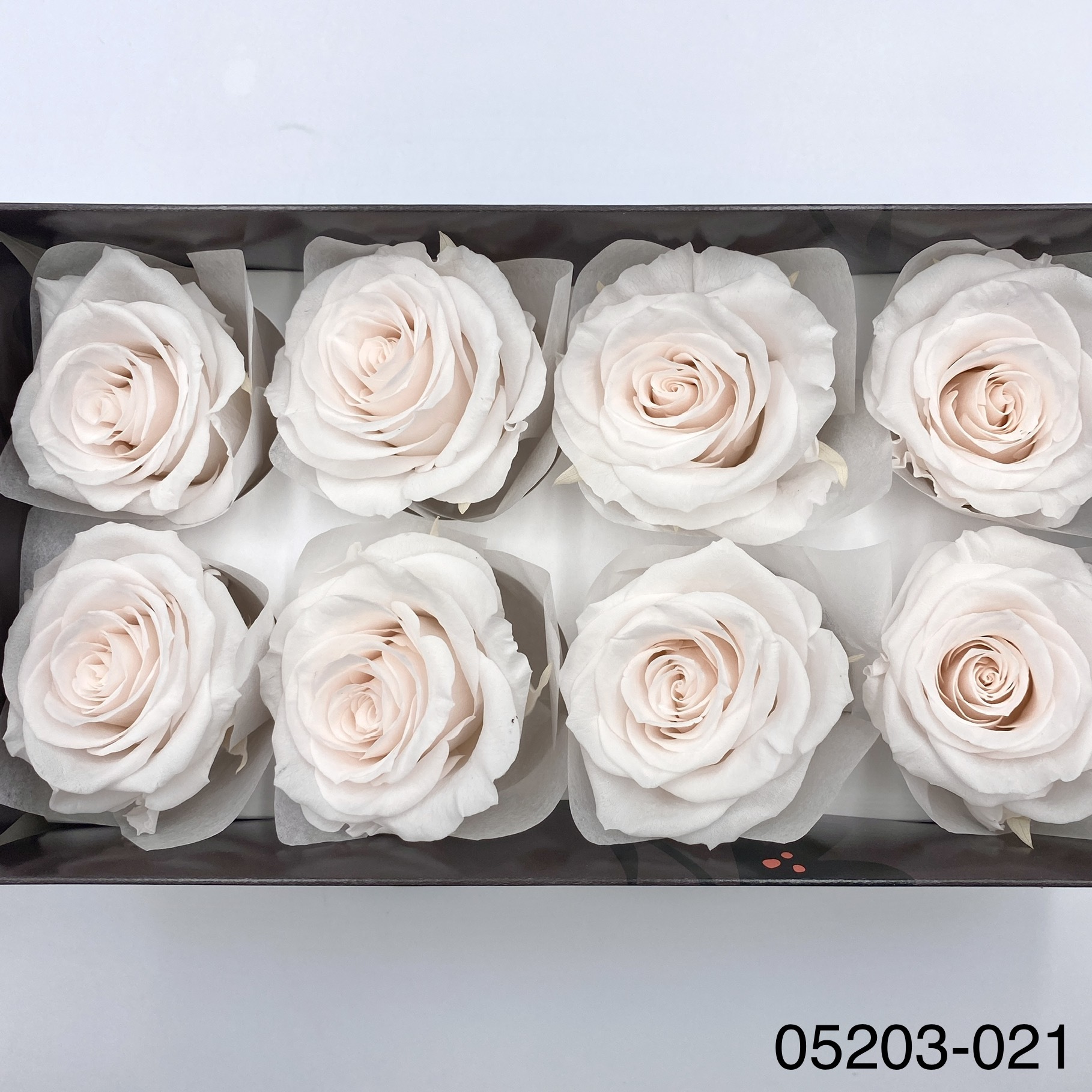 日本不凋大輪玫瑰(L-8朵) 05203-021