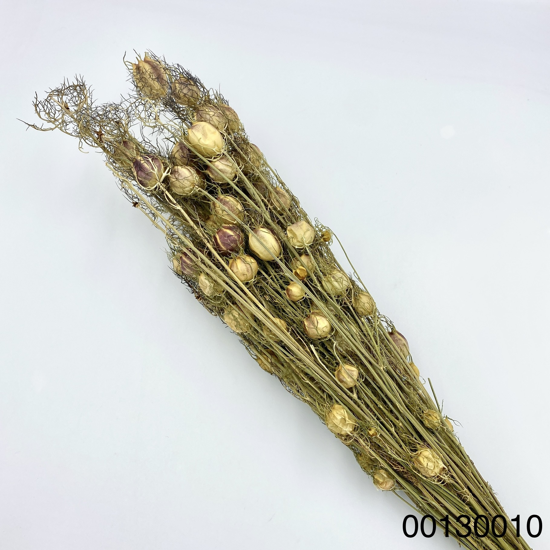 荷蘭乾燥黑種果