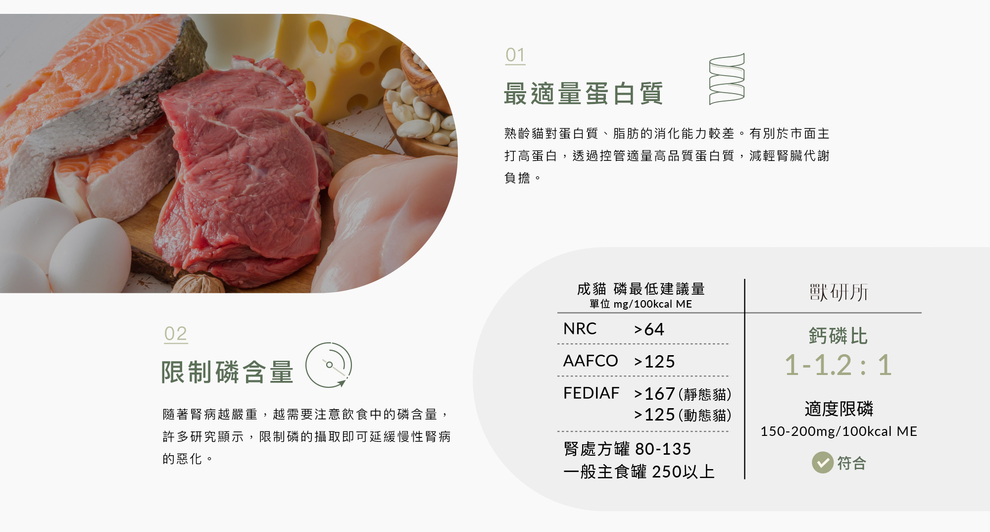 01 最適量蛋白質 有別於市面主打高蛋白,透過控管適量高品質蛋白質,減輕腎臟代謝 負擔,滿足成貓的營養需求同時維持體態。 02 限制磷含量 隨著腎病越嚴重,越需要注意飲食中的磷含量, 過去許多研究顯示,限制磷的攝取即可延緩慢性 腎病的惡化。